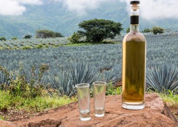 CURIOSIDADES DEL TEQUILA