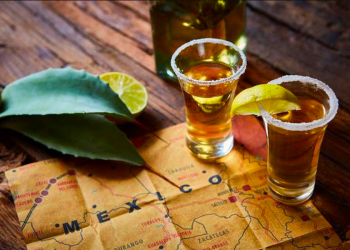 Diferencias entre el tequila y el mezcal
