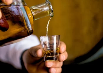 Â¿CÃ³mo se elabora el mezcal?
