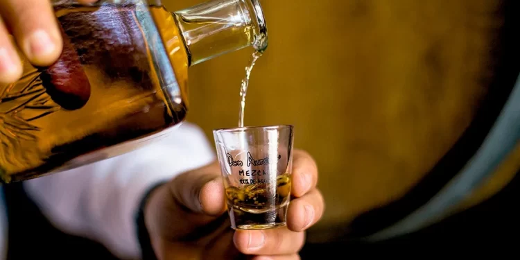 Â¿CÃ³mo se elabora el mezcal?