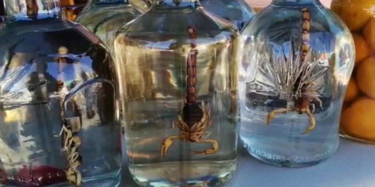 El sensacional tequila con AlacrÃ¡n Â¿CÃ³mo se prepara?