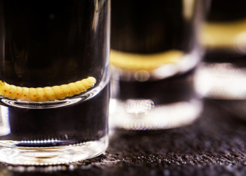 Â¿Por quÃ© el mezcal le ponen un gusano dentro de la botella?