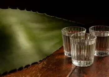 Hijos de los agaves: Tequila, Mezcal, Sotol, Bacanora y Racilla