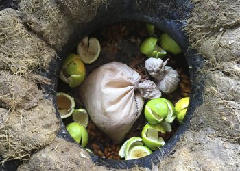 El curioso mezcal de pechuga