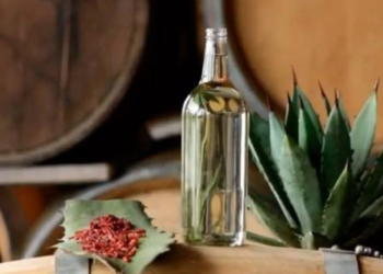 Â¿CÃ³mo se originÃ³ el mezcal en MÃ©xico?
