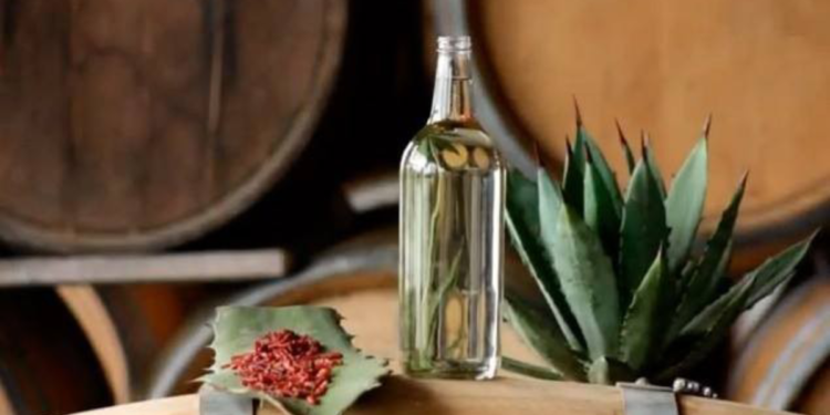 ¿Cómo se originó el mezcal en México?