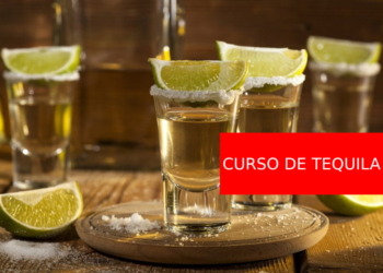 Â¿CÃ³mo convertirte en maestro tequilero?