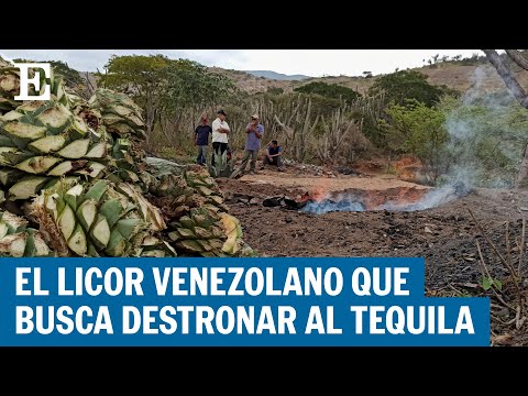 Mezcal Venezolano el Nuevo Tequila de Sudamérica