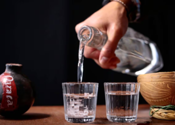 Conoce el mezcal mÃ¡s caro del mundo de agave tobalÃ¡