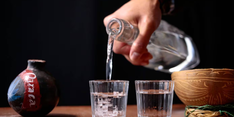 Conoce el mezcal mÃ¡s caro del mundo de agave tobalÃ¡