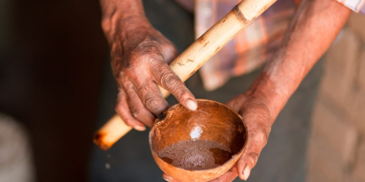 Historia de las jÃcaras de mezcal: La tradición detrás del trago