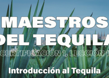 Â¿QuÃ© se necesita para ser un maestro tequilero? AquÃ­ te decimos