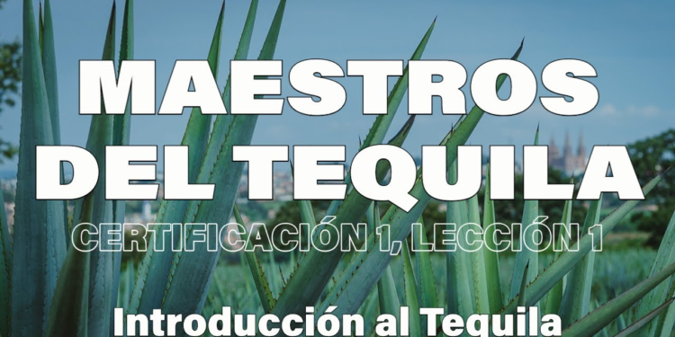 Â¿QuÃ© se necesita para ser un maestro tequilero? AquÃ­ te decimos