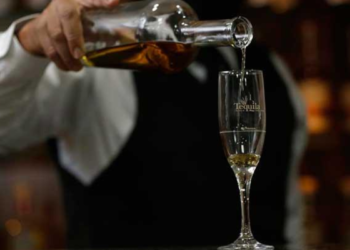 CÃ³mo Catar un Buen Tequila: GuÃ­a Completa para Disfrutar cada Gota