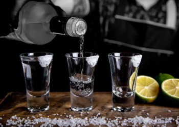 Los Tequilas MÃ¡s Suaves para Principiantes: Â¡Los Mejores!