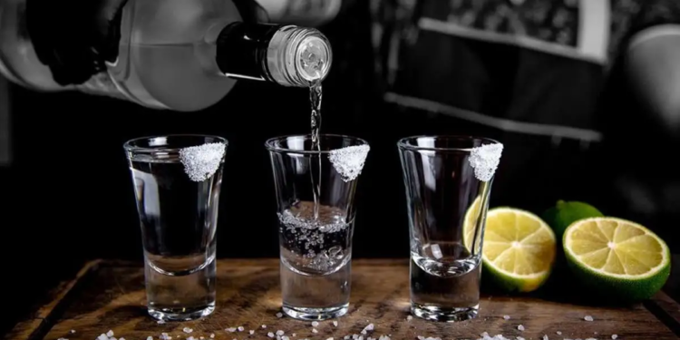 Los Tequilas MÃ¡s Suaves para Principiantes: Â¡Los Mejores!