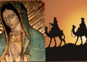 Los mejores tequilas para festejar el Guadalupe Reyes