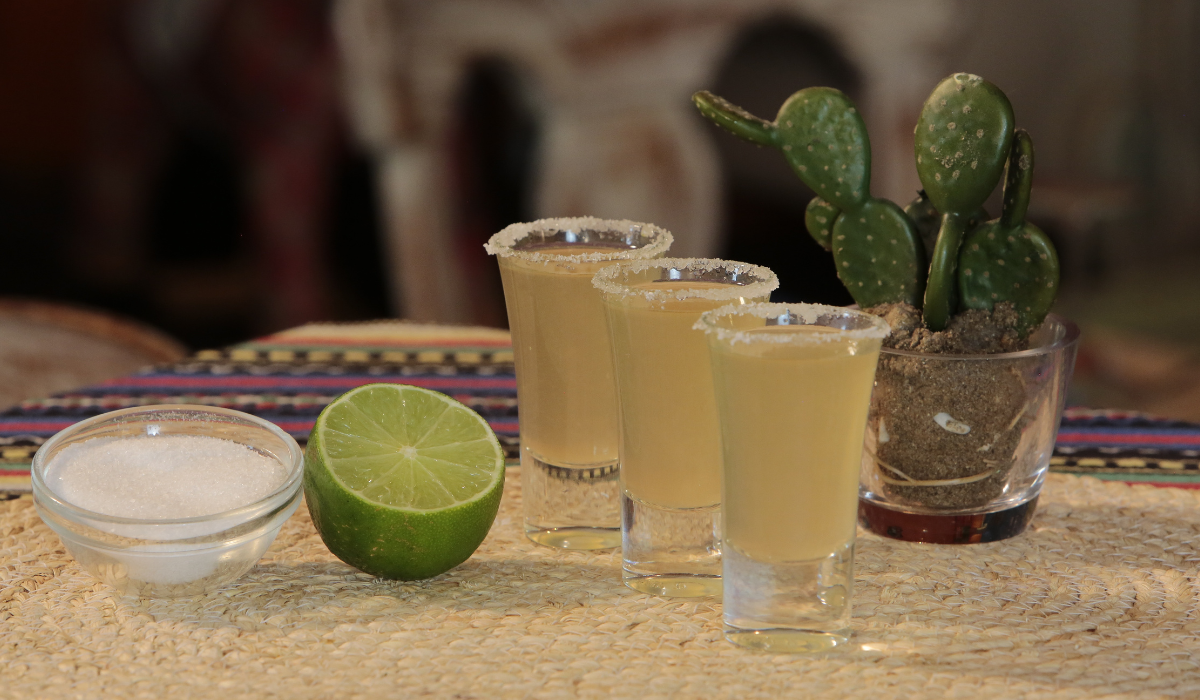 La Ruta del Tequila: El Corazón de Jalisco
