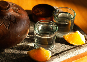 GuÃ­a para Catadores de Mezcal: Domina el Arte