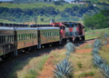 Descubre la Ruta del Tequila en Jalisco: Â¡Aventura y Sabor!