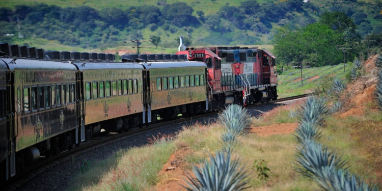 Descubre la Ruta del Tequila en Jalisco: Â¡Aventura y Sabor!