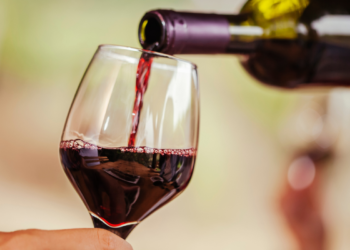 Descubre los Mejores Vinos de MÃ©xico