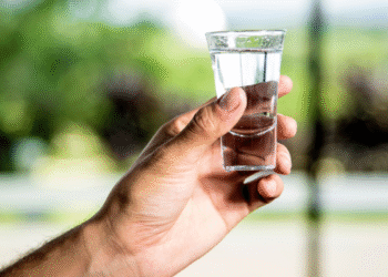 Â¡Domina los Requisitos para exportar tequila en MÃ©xico!