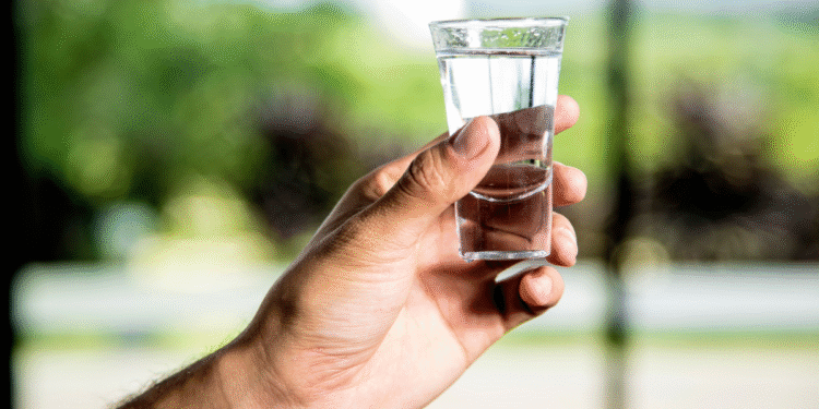 Â¡Domina los Requisitos para exportar tequila en MÃ©xico!