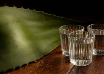 Mezcales Premium Que Bien Vale la Pena Que TÃº Conozcas