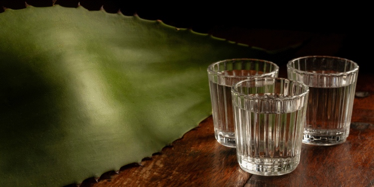 Mezcales Premium Que Bien Vale la Pena Que TÃº Conozcas