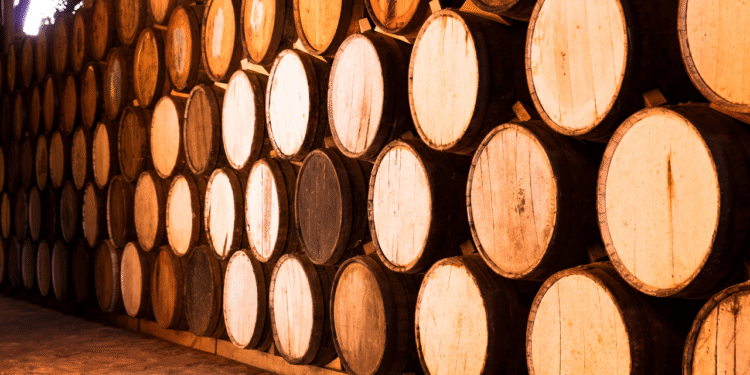 Tequilas mÃ¡s aÃ±ejos del mundo: joyas lÃ­quidas que debes conocer