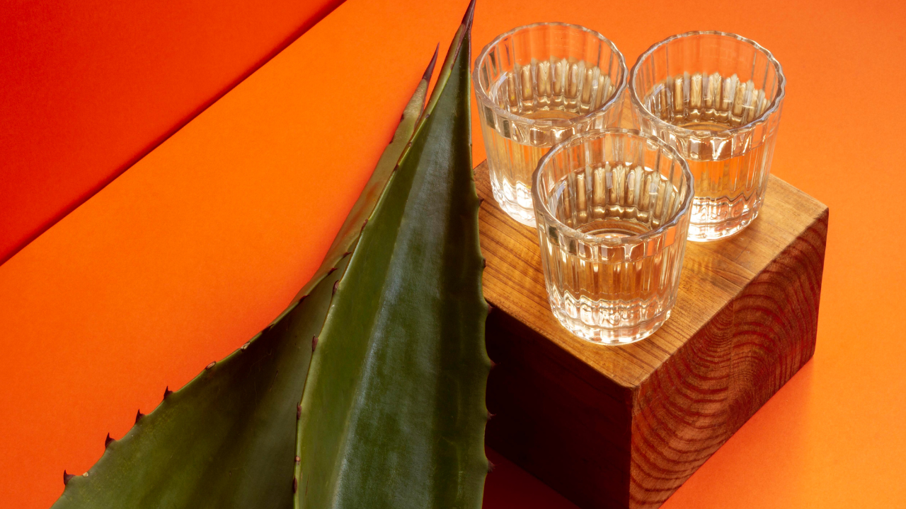 ¿Qué hace que un mezcal sea premium?