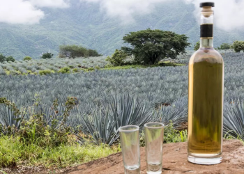 ¿Cuáles son las innovaciones en la producción de tequila en el 2025?