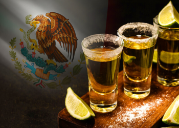 Asi se celebro el evento del dia nacional del tequila