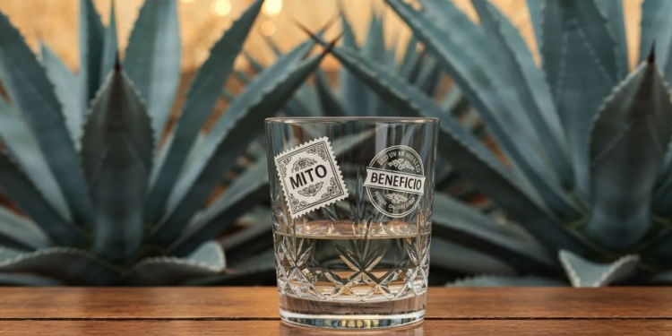 Beneficios y mitos del tequila revelados